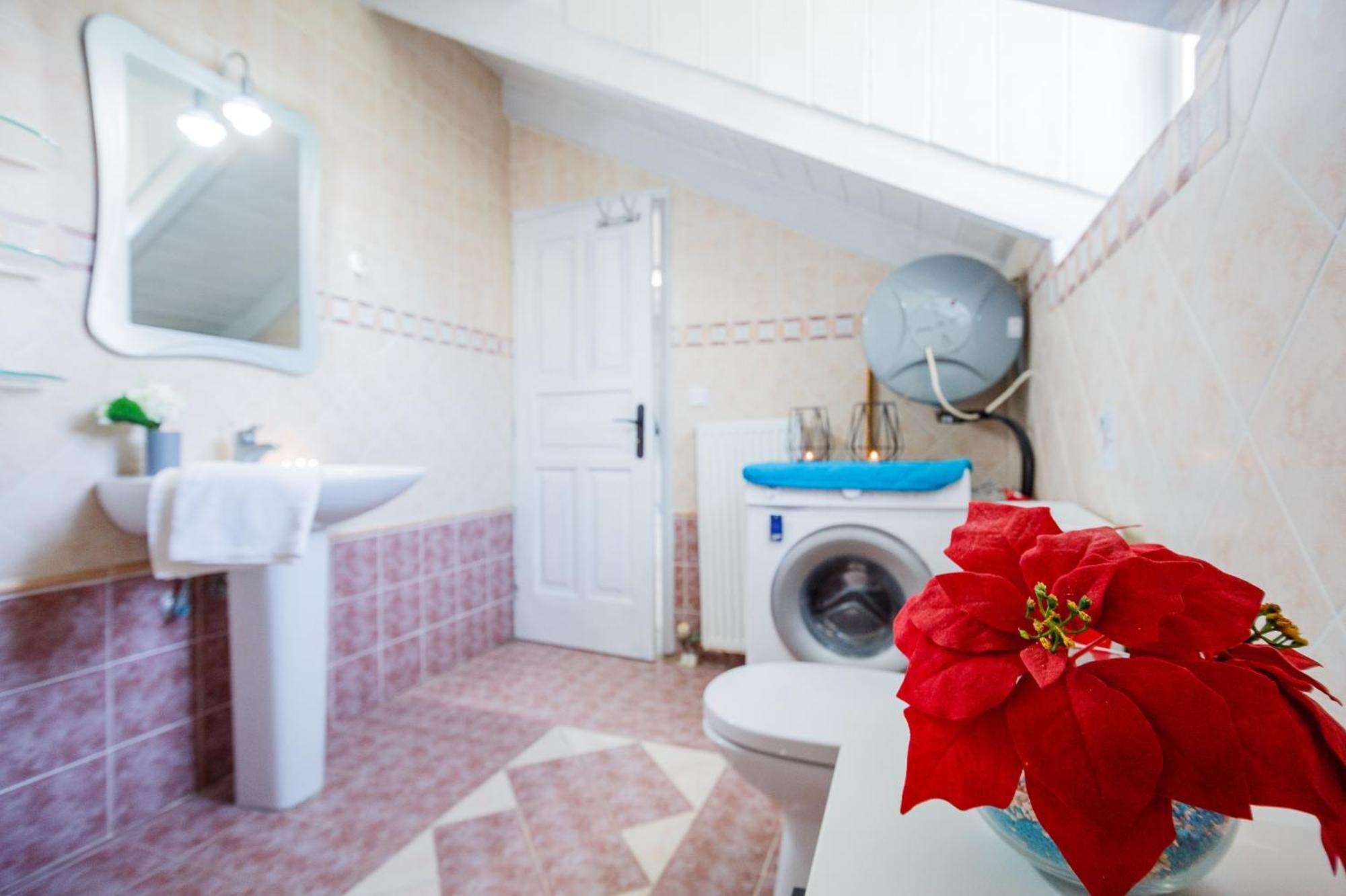 Tonias Houses - Thea House And Vrachos Attic Appartment اليكاناس المظهر الخارجي الصورة